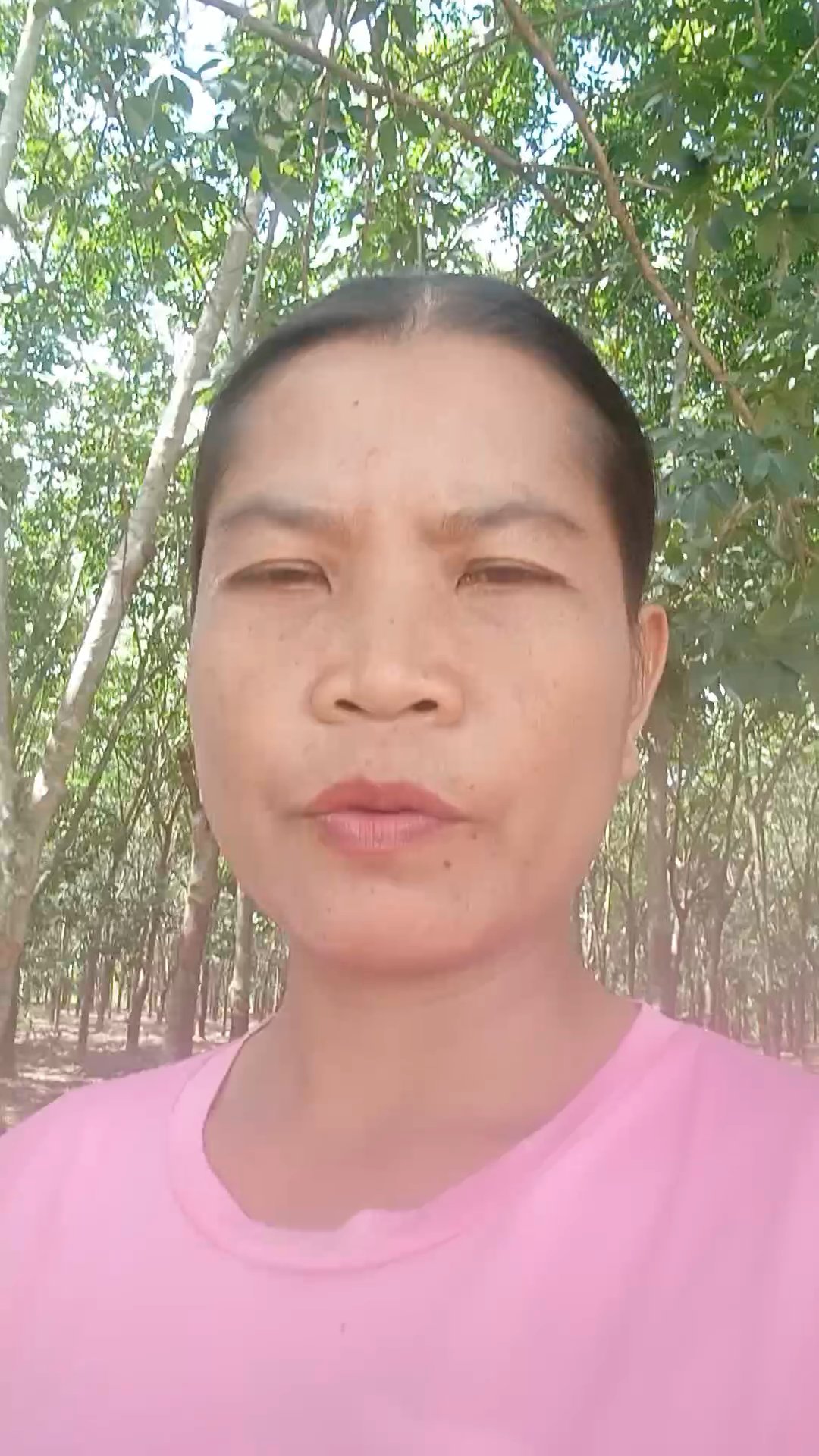 จันฑิมา